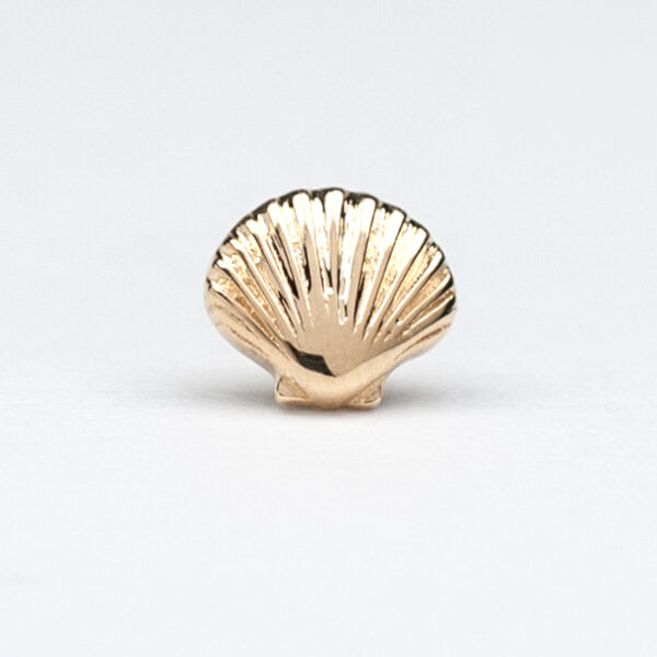 BVLA Scallop Shell